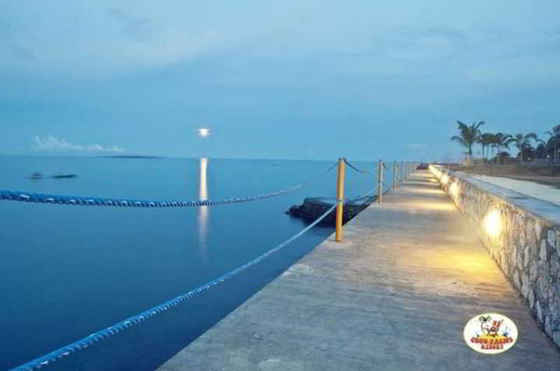 Danao Coco Palms Resort Себу Экстерьер фото